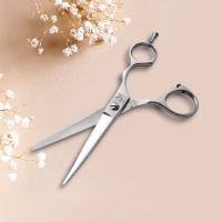 Friseurschere | Haarschneide schere  | Barber scissors/hair cutti Hessen - Dietzenbach Vorschau