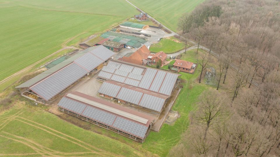 Ferienwohnung, Monteurwohnung in Haltern am See