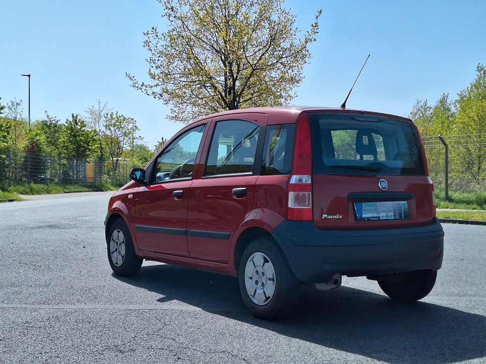 Fiat Panda in Schwanewede