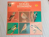 Vinyl LP 11" Vogelstimmen Singvögel unserer Heimat Nordrhein-Westfalen - Krefeld Vorschau