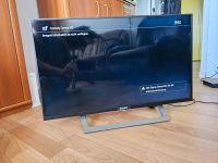 Sony Bravia Fernseher Brandenburg - Potsdam Vorschau