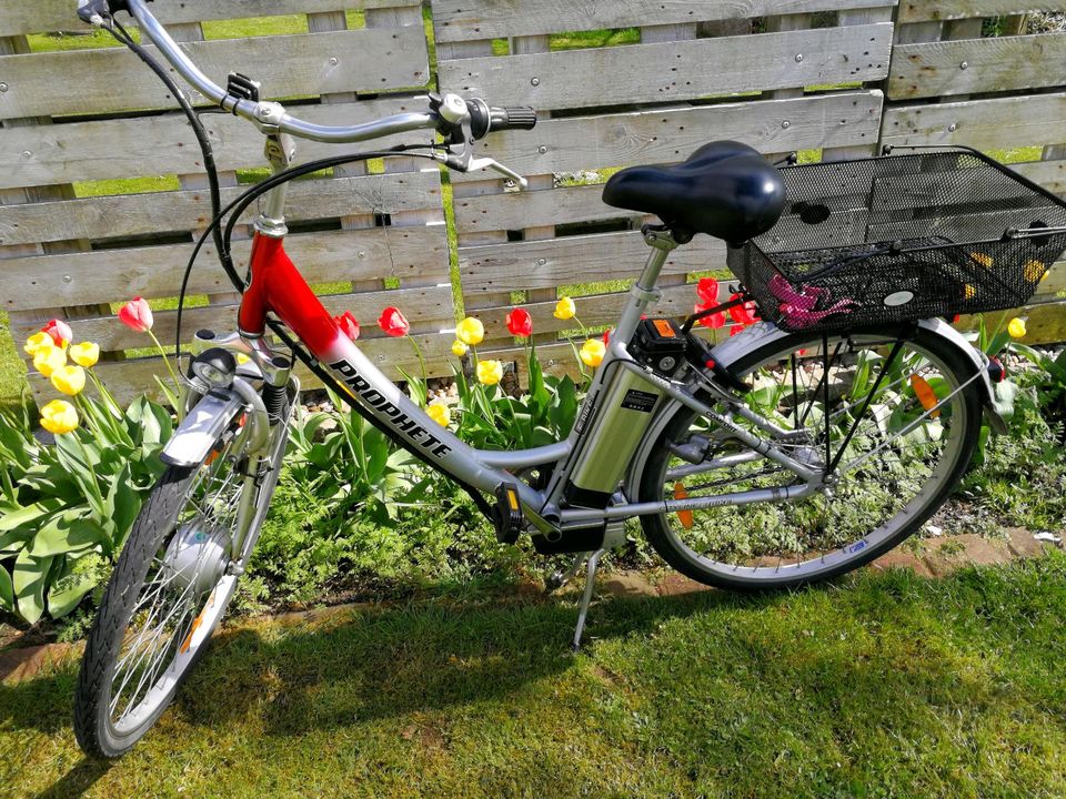 Elektofahrrad 28 er in Hanerau-Hademarschen
