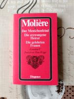 Molier - Menschenfeind, erzwungene Hochzeit, gelehrte Frauen Bayern - Maßbach Vorschau