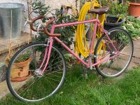 Motobecane classico Rennrad Vintage Baden-Württemberg - Heitersheim Vorschau