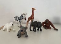 Schleich Set Zebra Giraffe Koala Eisbär Affe Elefant Sachsen-Anhalt - Bernburg (Saale) Vorschau