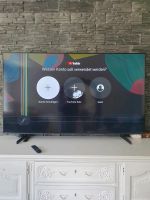 Samsung 65 Zoll qled Nordrhein-Westfalen - Aldenhoven Vorschau