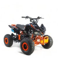 Quad ATV 125 cc Kids Pocket Dirtbike Pitbike NEUHEIT 004 7" Zoll Nordrhein-Westfalen - Gelsenkirchen Vorschau