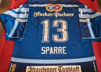 Eishockeytrikot Straubing Tigers Bayern - Aicha vorm Wald Vorschau