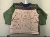 Esprit Pullover Größe 104/110 grün weiß Jungen  Pulli Essen - Essen-Frintrop Vorschau