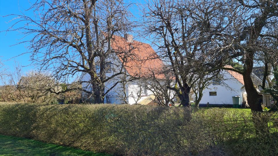 !! KAUFPREISREDUZIERUNG !!  TEILSANIERTES  EINFAMILIENHAUS  MIT  NEBENGEBÄUDE  UND  OBSTBÄUMEN! in Bad Essen