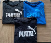 3x Puma T-Shirts,Gr. XL, Top Zustand Berlin - Hohenschönhausen Vorschau
