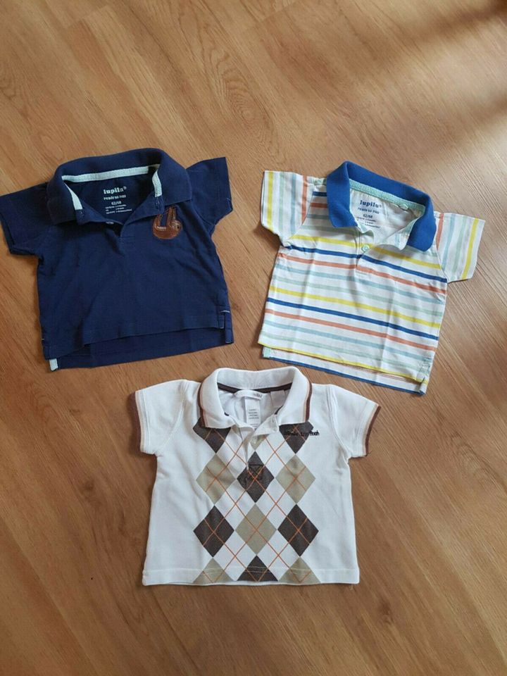 Poloshirt im Paket Gr.62/68 in Reutlingen