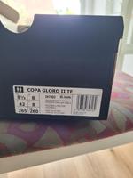 Adidas Copa Gloro TF Fußballschuhe in Größe 42 Bayern - Asbach-Bäumenheim Vorschau