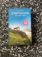 Ostwind - Der große Orkan Hessen - Münzenberg Vorschau