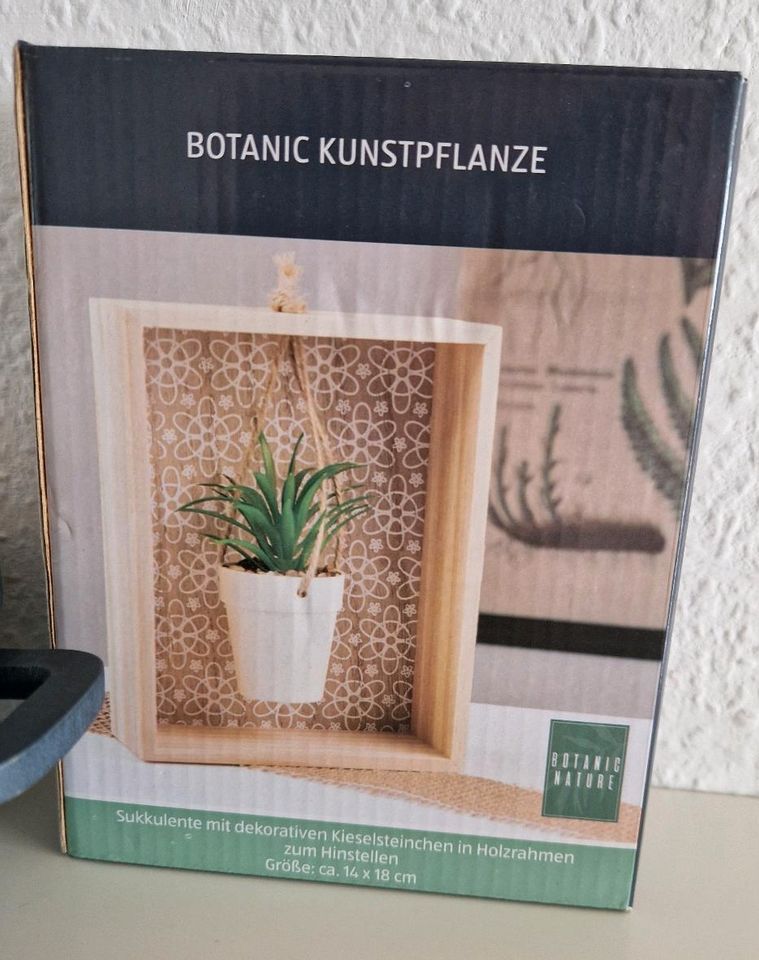 Kunstpflanze inklusive Aufhängung in Zülpich