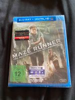 DVD blue ray Maze Runner Teil 1 Obergiesing-Fasangarten - Obergiesing Vorschau