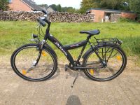 Fahrrad Prince Stembi guter Zustand 28" Zoll Schleswig-Holstein - Reher Vorschau