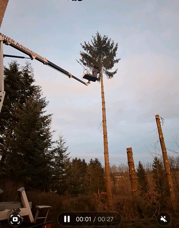 Problembaumfällung - Baumfällung- Forstservice- Landschaftspflege in Kirchroth