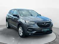 Opel Grandland X Edition Business, Tempomat, Sitzheiz Nordvorpommern - Landkreis - Ribnitz-Damgarten Vorschau