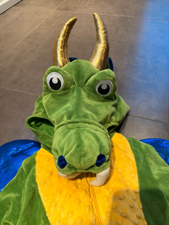 Kostüm Krokodil Fasching in Kaiserslautern