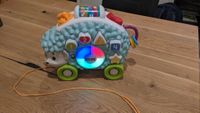 Fisher Price Blinki Linki Igel Sachsen - Radeberg Vorschau