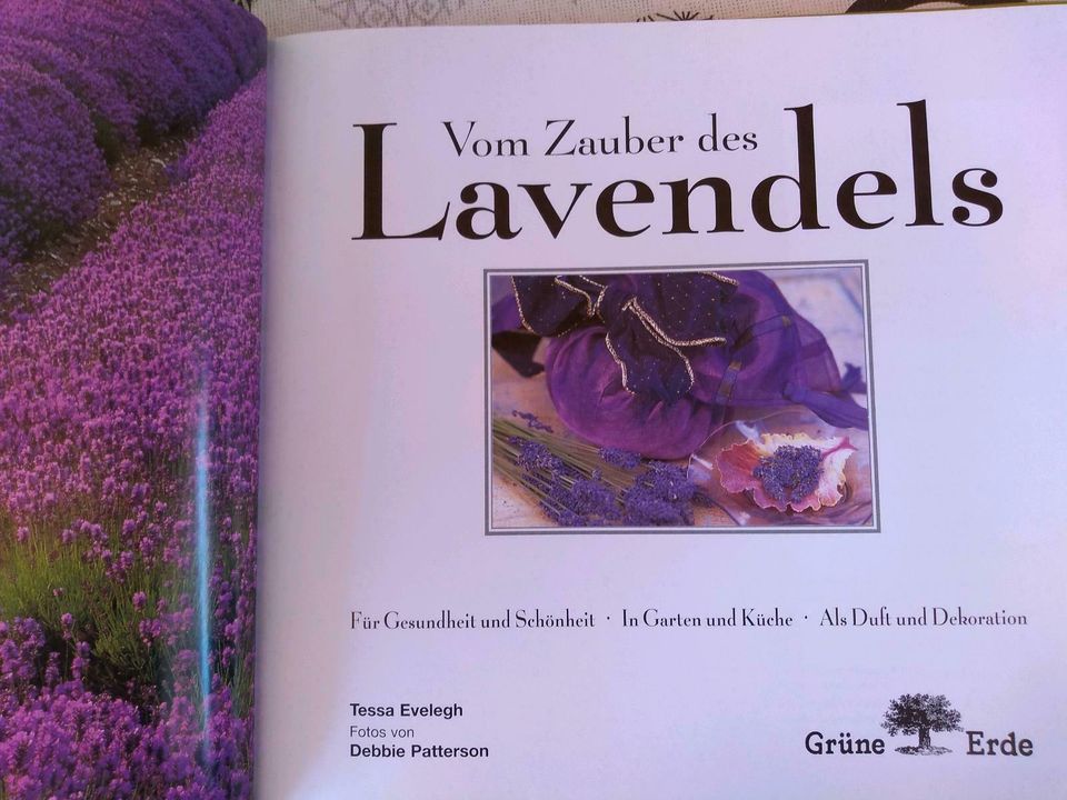 Vom Zauber des Lavendels, für Gesundheit und Schönheit,im Garten in Treuchtlingen