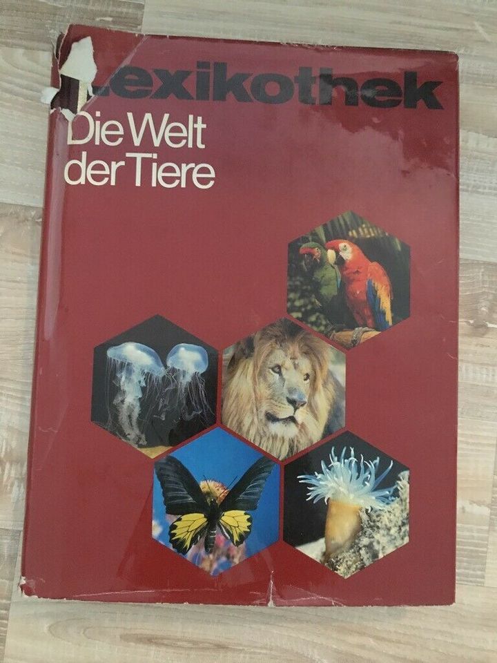 Buch Lexikon Lexikothek die Welt der Tiere in Bad Schussenried