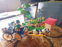 Playmobil Kutsche Figuren Pferde Hasenstall mit Tiere Zaun Baum Nordrhein-Westfalen - Gelsenkirchen Vorschau