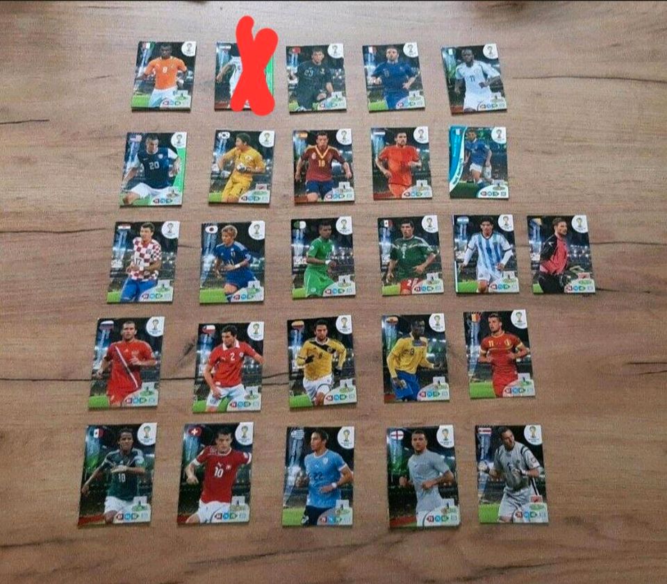 Panini Sammelkarten Fußball WM 2014 Brasilien in St Gangloff