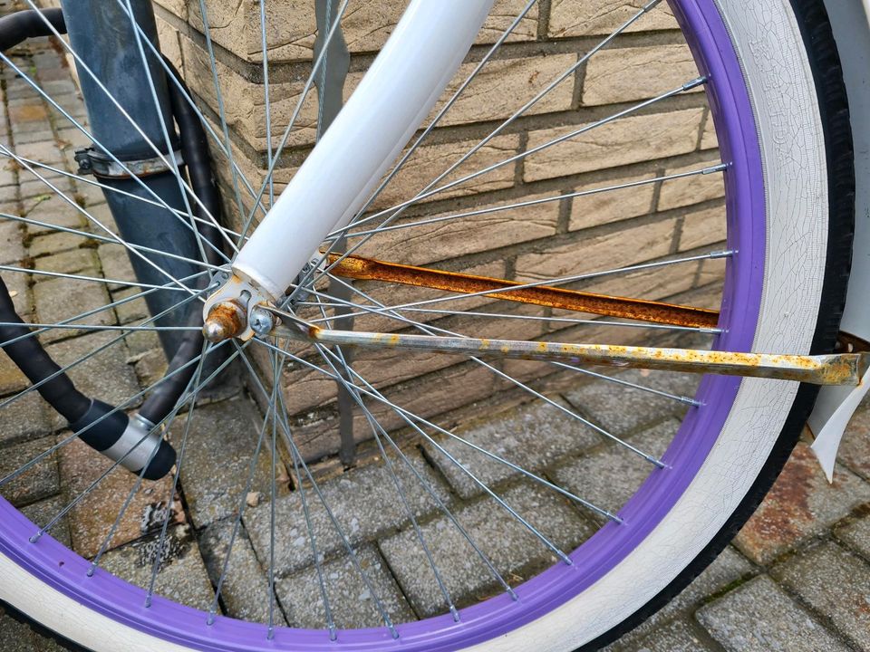 Beach Fahrrad Damen in Düsseldorf