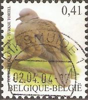 Belgien 3185 Fauna - Freimarken Tiere - Vögel - Türkentaube Taube Nordrhein-Westfalen - Kamen Vorschau