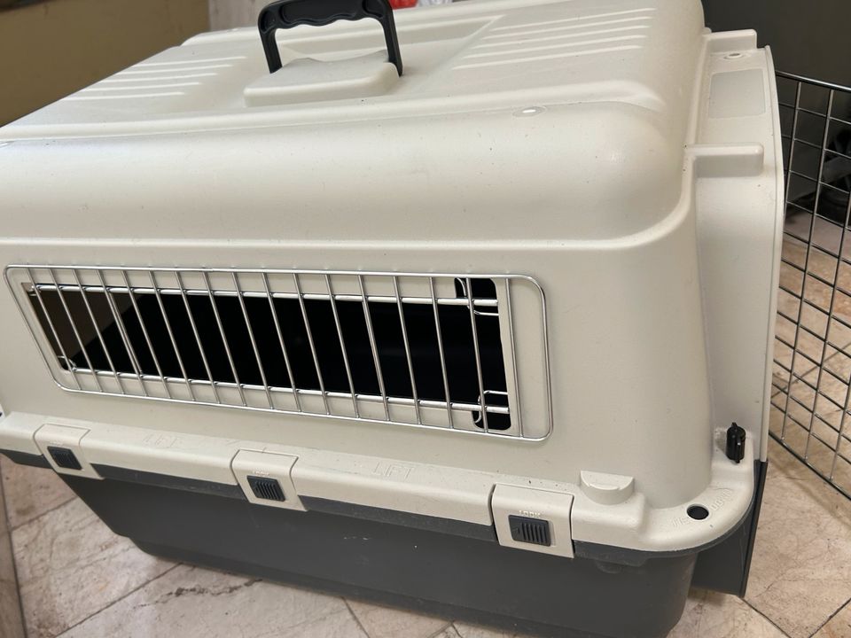 Transportbox Hund Katze in Sauerlach