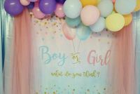 Gender Reveal Wanddeko/Partydeko/Babyshower Nordrhein-Westfalen - Plettenberg Vorschau