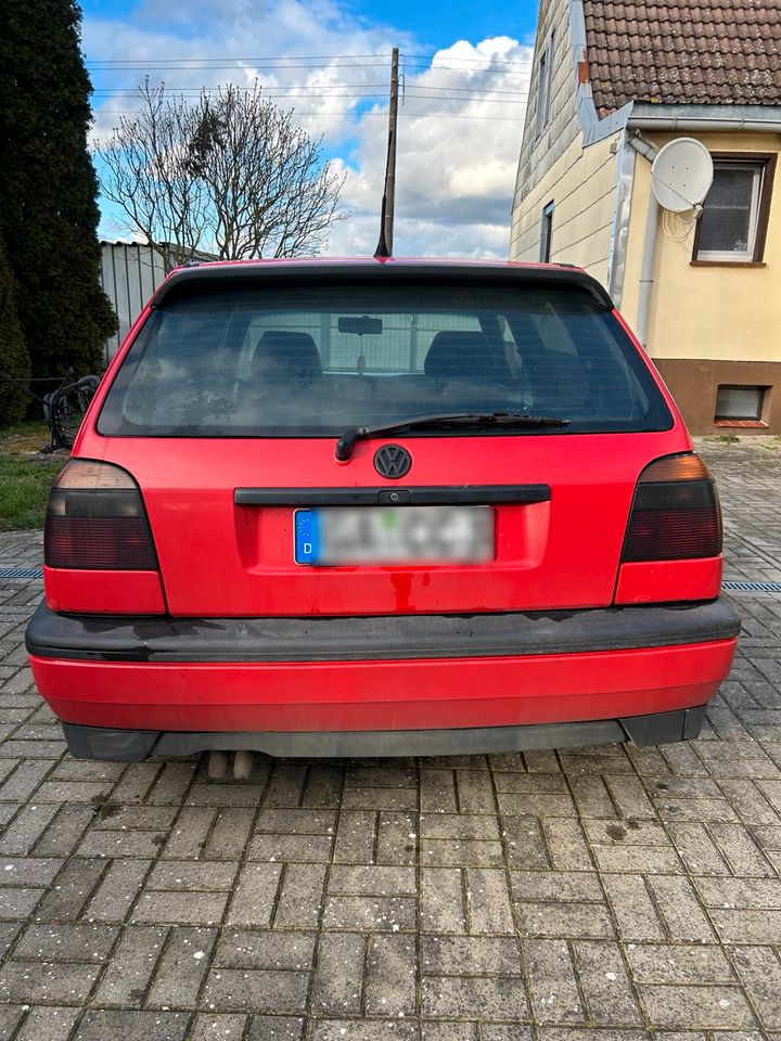 Golf 3 Color Concept 1.9 TDI 1Z in Beetzendorf