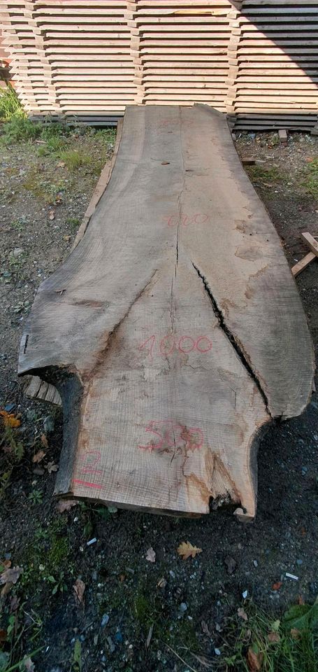 XXL Eschenbohlen Kernesche Holzbohlen Schnittholz Tischplatte in Herten