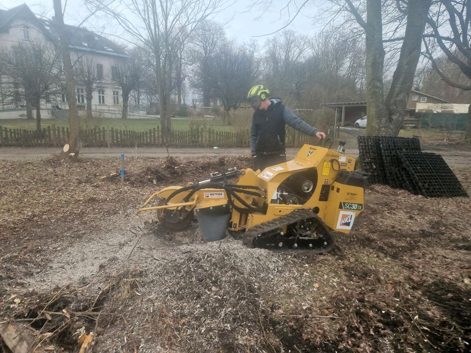 Baumfällung, Baumpflege, Baumschnitt, in Lüdershagen