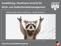 Ausbildung Kaufmann für Groß- und Außenhandelsmanagement (m/w/d) Niedersachsen - Stuhr Vorschau