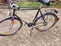 Fahrrad zu verkaufen Sachsen - Bockau Vorschau