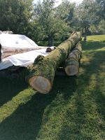 3 Kirschbaum Stämme Kr. Altötting - Pleiskirchen Vorschau