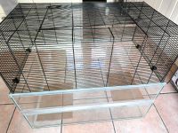 Nagarium Glas Gehege Mäuse Nagetiere Hamster **TOP** Frankfurt am Main - Nordend Vorschau