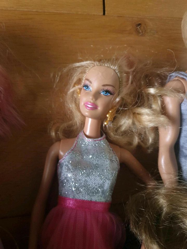 Konvolut Barbie Ken Hunde Pferde viel Zubehör in Willich