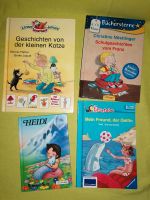 Heidi Geschichten vom Franz Leserabe lesen lernen Delfin Katze Schwerin - Friedrichsthal Vorschau