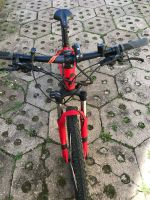 Cube Bike Damen Unstrut-Hainich - Heroldishausen Vorschau