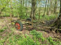 Meterholzwagen Rückeanhänger Brennholz Feuerholz Stihl Niedersachsen - Tespe Vorschau