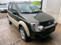 Fiat Cross Panda 1.3 Diesel 4*4 Niedersachsen - Salzgitter Vorschau