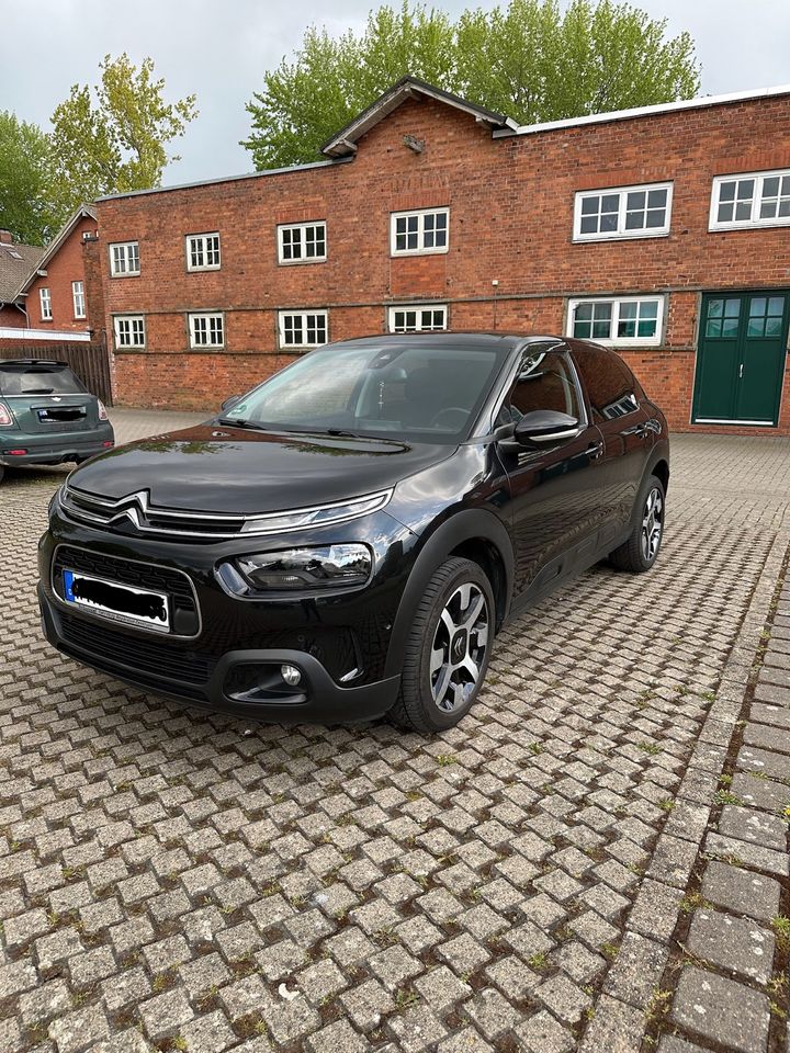 Citroen C4 Cactus Shine in Delmenhorst