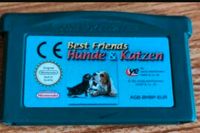 Nintendo DS Spiel Best Friends Hunde und Katzen Mecklenburg-Vorpommern - Stralsund Vorschau