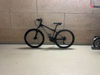 Mountain Bike von Serious | 28 Zoll | 24 Gänge | Funktionsfähig München - Pasing-Obermenzing Vorschau