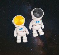 Bewegliche Astronaut Magnete, Figuren oder Schlüsselanhänger Sachsen-Anhalt - Dessau-Roßlau Vorschau