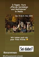 Kurs mit Jenny Wild & Peer Classen, Natural Horsemanship Niedersachsen - Melle Vorschau
